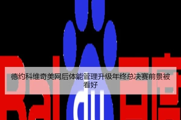 德约科维奇美网后体能管理升级年终总决赛前景被看好